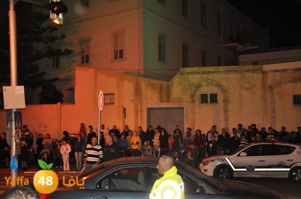 tree light 1208 (58).JPG